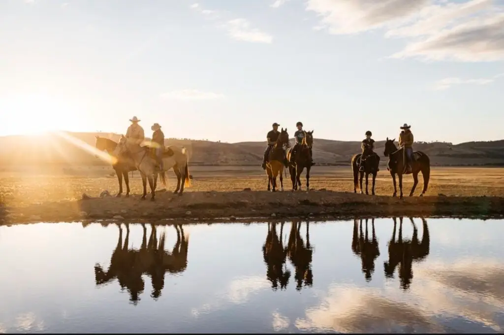 Marzipan Media - crowdfunding agency - ppc - social media servcies