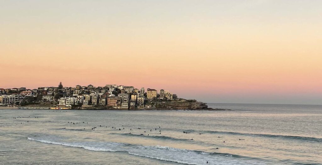 Sustainable web design marzipan media digital content creators bondi agency